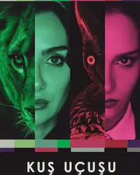 Полёт птицы (2022) смотреть онлайн