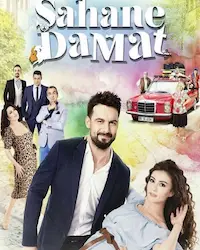 Замечательный зять (2016) смотреть онлайн