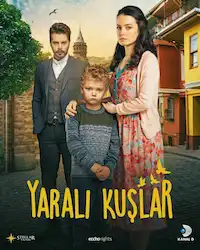 Раненые птицы (2019) смотреть онлайн